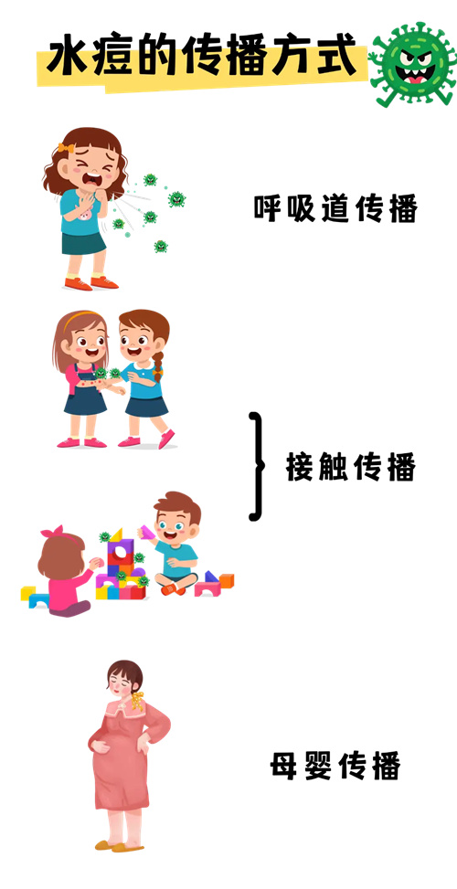 详细介绍